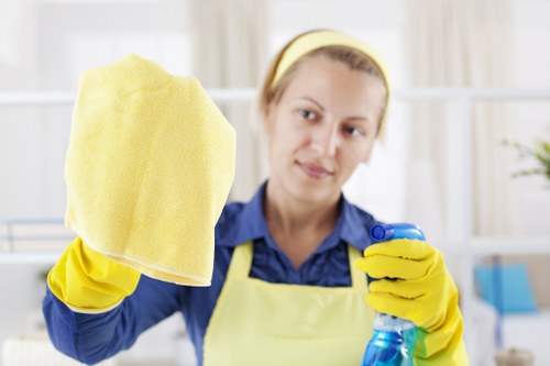 Secure online payment screen for Cleaners Clapham