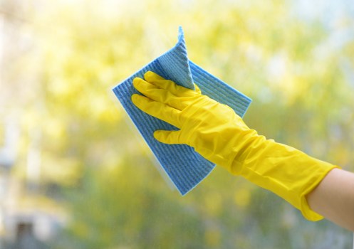 Professional move in cleaning in a Clapham flat kitchen