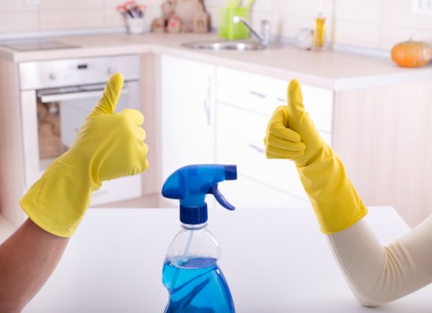 Cleaning equipment and booking documents for a professional cleaning service