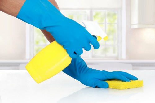 Professional hard floor cleaning in a Clapham property