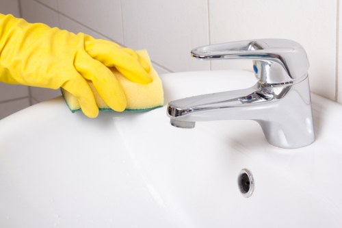 Sustainable Clapham cleaning service focusing on waste separation and recycling