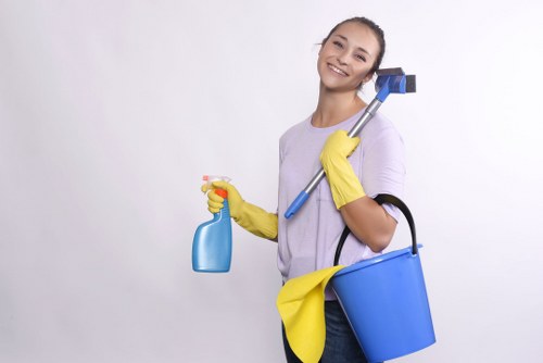 Detailed cleaning of cupboards and surfaces before moving into a Clapham property