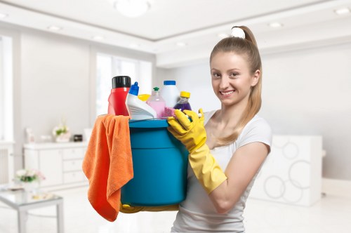 Deep cleaning equipment used for pet stain odour removal in a local Clapham property