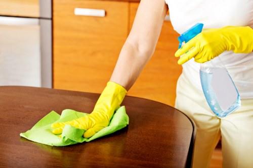 Professional Clapham cleaning team following safe working procedures